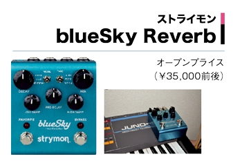 ストライモンblueSky Reverb写真